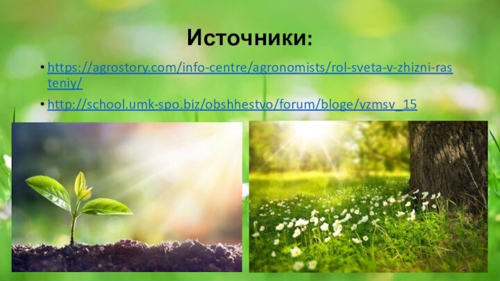 Источники:https://agrostory.com/info-centre/agronomists/rol-sveta-v-zhizni-rasteniy/http://school.umk-spo.biz/obshhestvo/forum/bloge/vzmsv_15