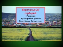Виртуальный гербарий Растения Кукморского района Республики Татарстан