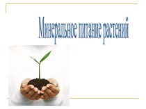Презентация Минеральное питание растений