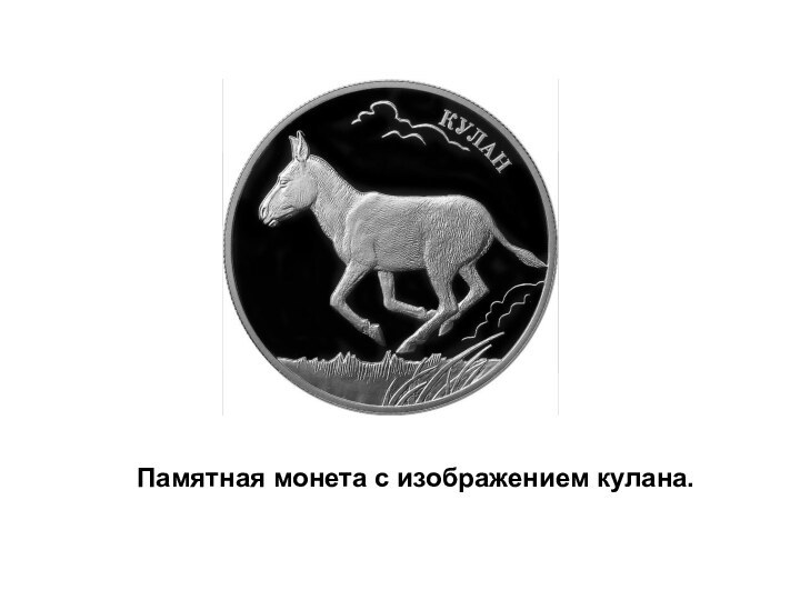 Памятная монета с изображением кулана.