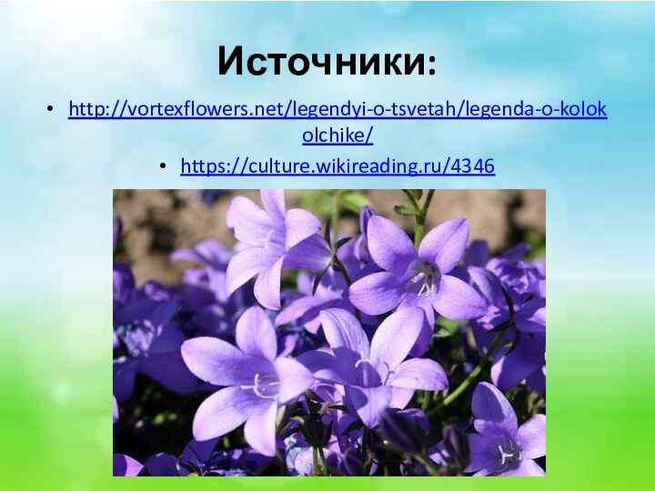 Источники:http://vortexflowers.net/legendyi-o-tsvetah/legenda-o-kolokolchike/https://culture.wikireading.ru/4346