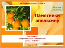 Презентация Памятники апельсину