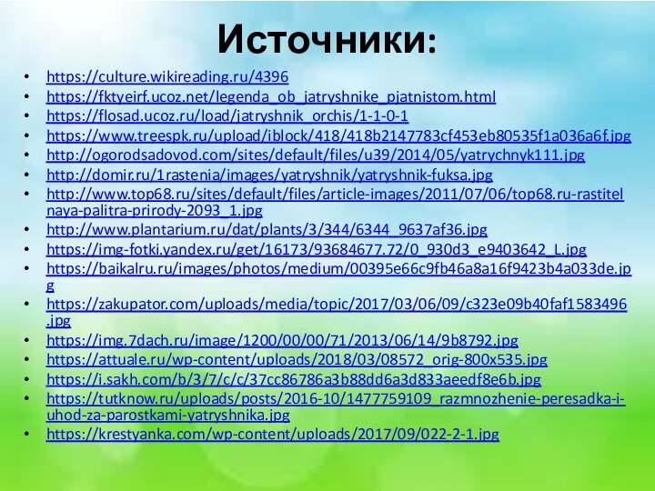 Источники:https://culture.wikireading.ru/4396https://fktyeirf.ucoz.net/legenda_ob_jatryshnike_pjatnistom.htmlhttps://flosad.ucoz.ru/load/jatryshnik_orchis/1-1-0-1https://www.treespk.ru/upload/iblock/418/418b2147783cf453eb80535f1a036a6f.jpghttp://ogorodsadovod.com/sites/default/files/u39/2014/05/yatrychnyk111.jpghttp://domir.ru/1rastenia/images/yatryshnik/yatryshnik-fuksa.jpghttp://www.top68.ru/sites/default/files/article-images/2011/07/06/top68.ru-rastitelnaya-palitra-prirody-2093_1.jpghttp://www.plantarium.ru/dat/plants/3/344/6344_9637af36.jpghttps://img-fotki.yandex.ru/get/16173/93684677.72/0_930d3_e9403642_L.jpghttps://baikalru.ru/images/photos/medium/00395e66c9fb46a8a16f9423b4a033de.jpghttps://zakupator.com/uploads/media/topic/2017/03/06/09/c323e09b40faf1583496.jpghttps://img.7dach.ru/image/1200/00/00/71/2013/06/14/9b8792.jpghttps://attuale.ru/wp-content/uploads/2018/03/08572_orig-800x535.jpghttps://i.sakh.com/b/3/7/c/c/37cc86786a3b88dd6a3d833aeedf8e6b.jpghttps://tutknow.ru/uploads/posts/2016-10/1477759109_razmnozhenie-peresadka-i-uhod-za-parostkami-yatryshnika.jpghttps://krestyanka.com/wp-content/uploads/2017/09/022-2-1.jpg