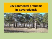 Презентация Environmental problems in Severodvinsk
