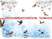 Презентация Зимующие птицы Челябинской области