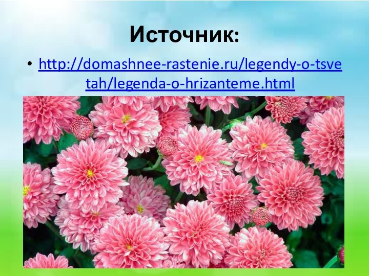 Источник:http://domashnee-rastenie.ru/legendy-o-tsvetah/legenda-o-hrizanteme.html