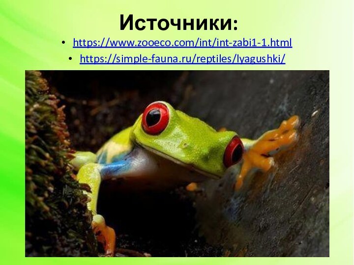 Источники:https://www.zooeco.com/int/int-zabi1-1.htmlhttps://simple-fauna.ru/reptiles/lyagushki/