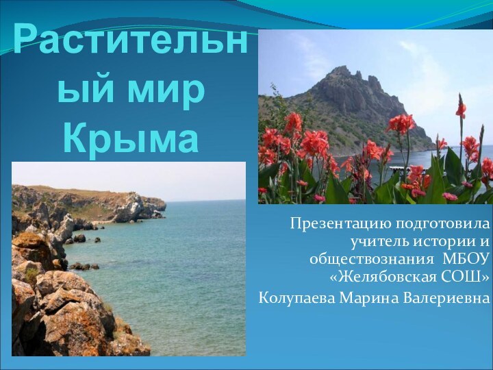 Растительный мир Крыма Презентацию