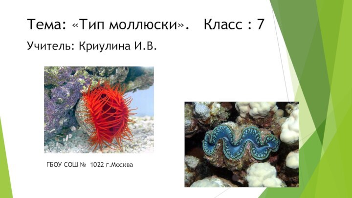 Тема: «Тип моллюски».  Класс : 7Учитель: Криулина И.В. ГБОУ СОШ № 1022 г.Москва