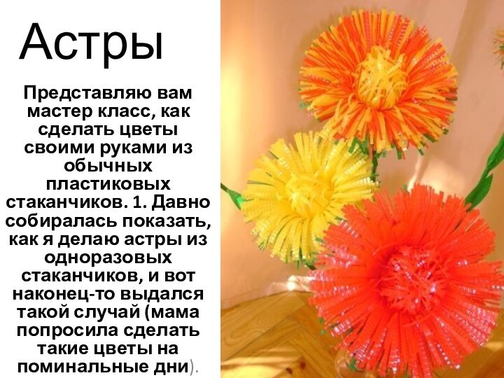 АстрыПредставляю вам мастер класс, как сделать цветы своими руками из обычных пластиковых