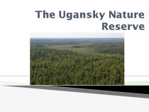 The ugansky nature reserve