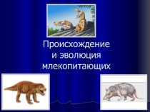 Происхождение и эволюция млекопитающих