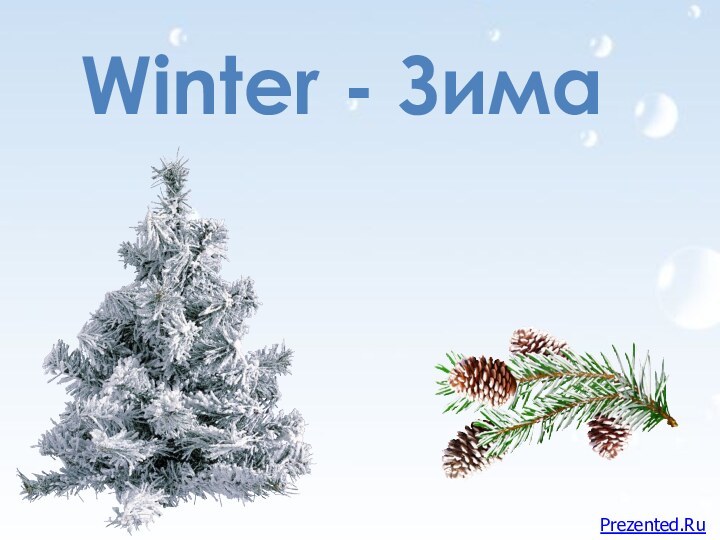 Winter - ЗимаPrezented.Ru