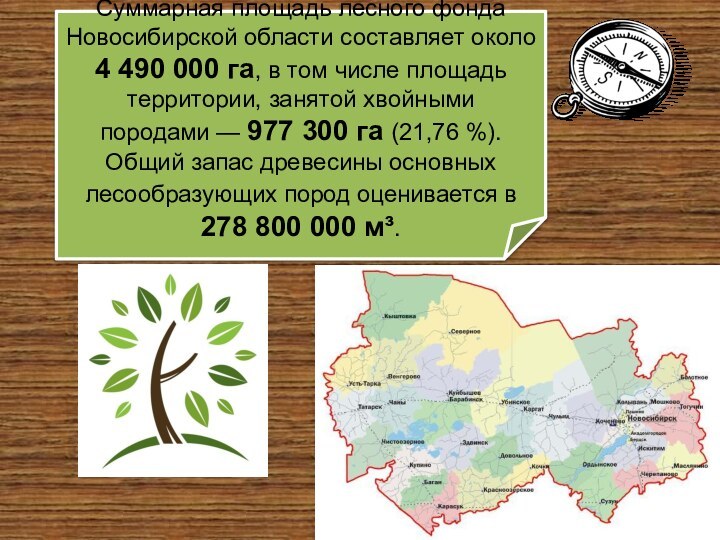 Суммарная площадь лесного фонда Новосибирской области составляет около 4 490 000 га, в том числе