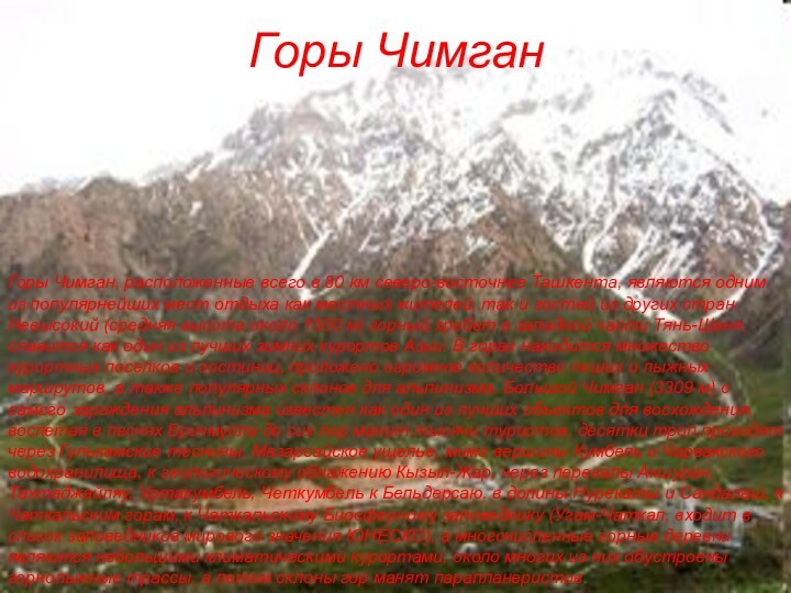 Горы Чимган, расположенные всего в 80 км северо-восточнее Ташкента, являются одним из