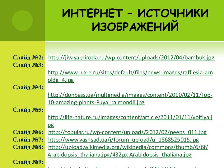 ИНТЕРНЕТ – ИСТОЧНИКИ ИЗОБРАЖЕНИЙСлайд №2:  http://jivayapriroda.ru/wp-content/uploads/2012/04/bambuk.jpgСлайд №3:  http://www.lux-e.ru/sites/default/files/news-images/rafflesia-arnoldii_4.jpgСлайд №4: