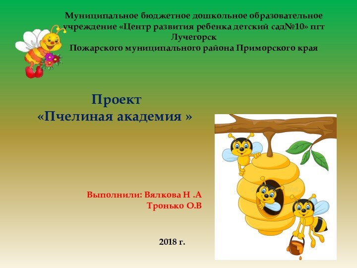 Проект «Пчелиная академия »Выполнили: Вялкова Н .АТронько О.В 2018 г.Муниципальное бюджетное