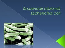 Кишечная палочкаescherichia coli