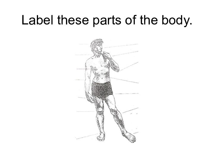 Label these parts of the body.