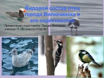 Видовой состав птиц города Вилючинска