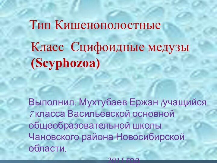 Класс Сцифоидные медузы (Scyphozoa) Тип КишенополостныеВыполнил: Мухтубаев Ержан (учащийся 7 класса Васильевской