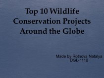 Top 10 wildlife conservation projects around the globe