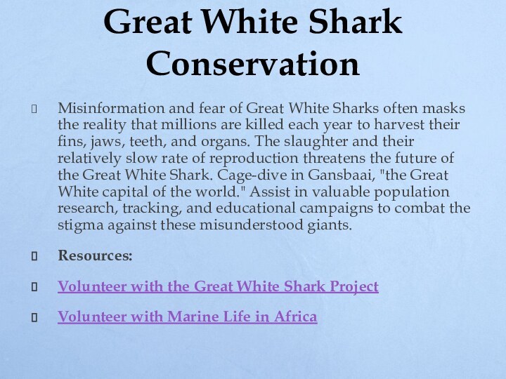 Great White Shark ConservationMisinformation and fear of Great White Sharks often masks