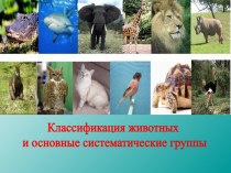 Классификация животных и основные систематические группы