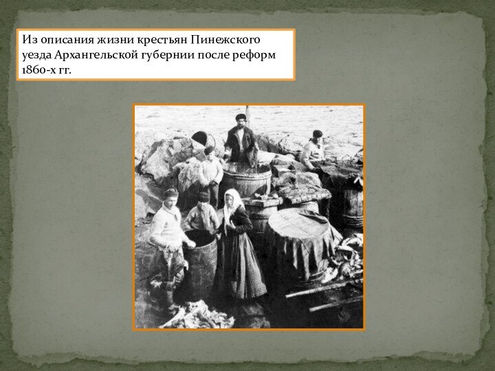 Из описания жизни крестьян Пинежского уезда Архангельской губернии после реформ 1860-х гг.