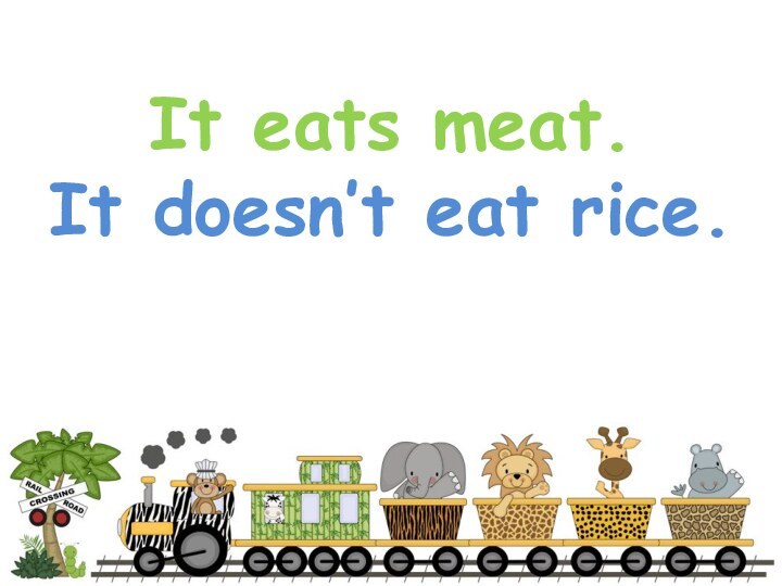 It eats meat. It doesn’t eat rice.