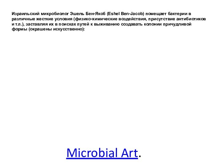 Microbial Art. Израильский микробиолог Эшель Бен-Якоб (Eshel Ben-Jacob) помещает бактерии в различные жесткие