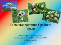 Ядовитые растения Среднего Урала