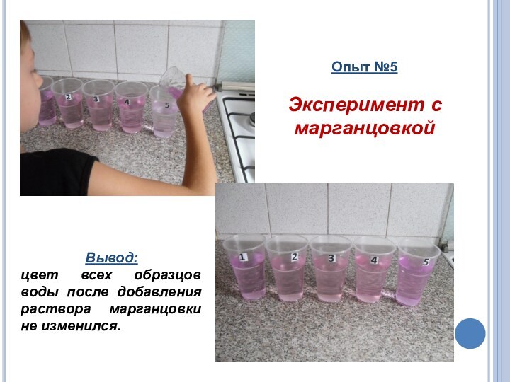 Опыт №5Эксперимент с марганцовкойВывод: цвет всех образцов воды после добавления раствора марганцовки не изменился.