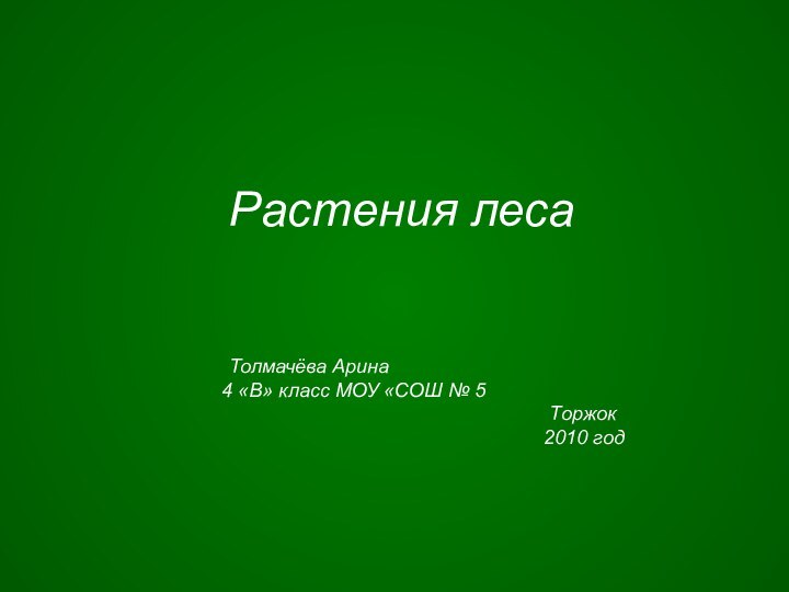 Растения леса  Толмачёва Арина 4 «В» класс МОУ «СОШ № 5