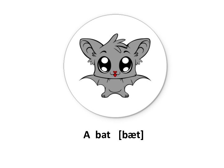 A bat  [bæt]