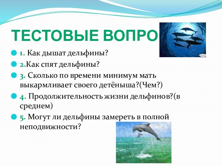 Тестовые вопросы1. Как дышат дельфины?2.Как спят дельфины?3. Сколько по времени минимум мать