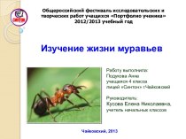 Изучение жизни муравьев