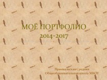 МОЁ ПОРТФОЛИО2014-2017