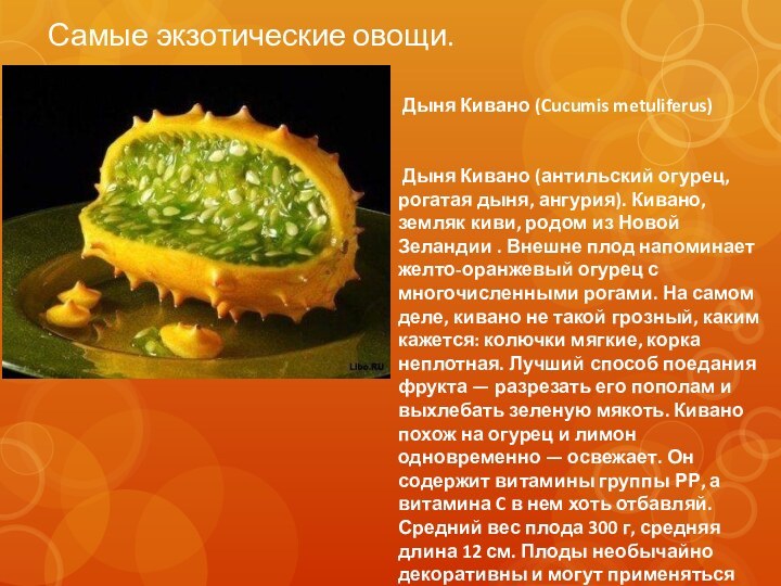 Самые экзотические овощи.    Дыня Кивано (Cucumis metuliferus) Дыня Кивано