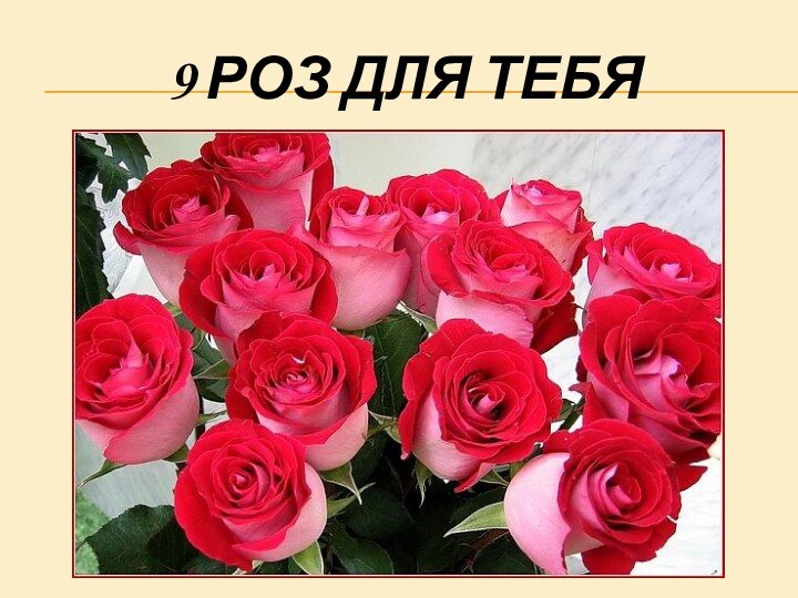 9 роз для тебя