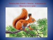Знакомство детей с дикими  животными Приморского края