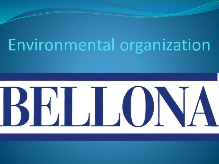 Environmental organization