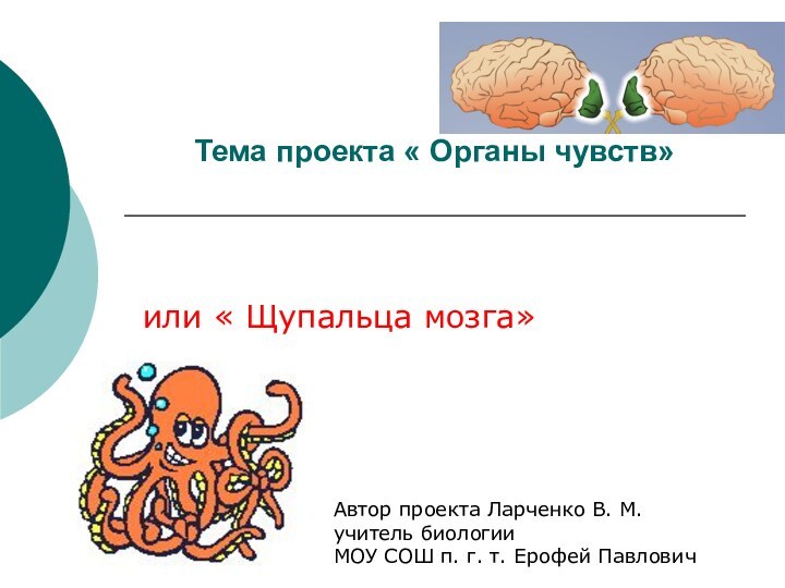 Тема проекта « Органы чувств»  или « Щупальца мозга»Автор проекта Ларченко