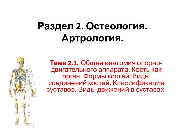 Раздел 2. Остеология. Артрология. Тема 2.1. Общая анатомия опорно-двигательного аппарата. Кость как