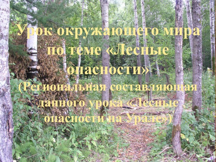 Урок окружающего мира  по теме «Лесные опасности» (Региональная составляющая данного урока «Лесные опасности на Урале»)