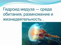 Гидроид медуза — среда обитания, размножение и жизнедеятельность .