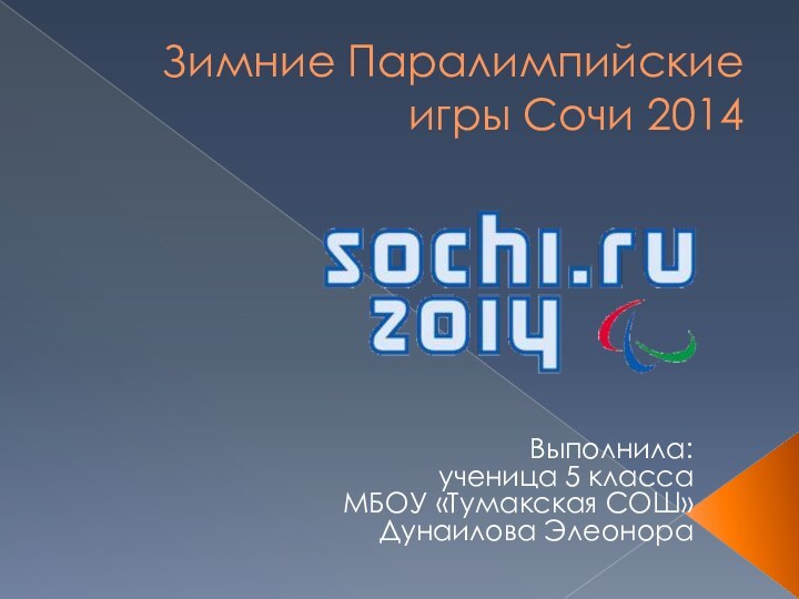 Зимние Паралимпийские игры Сочи 2014