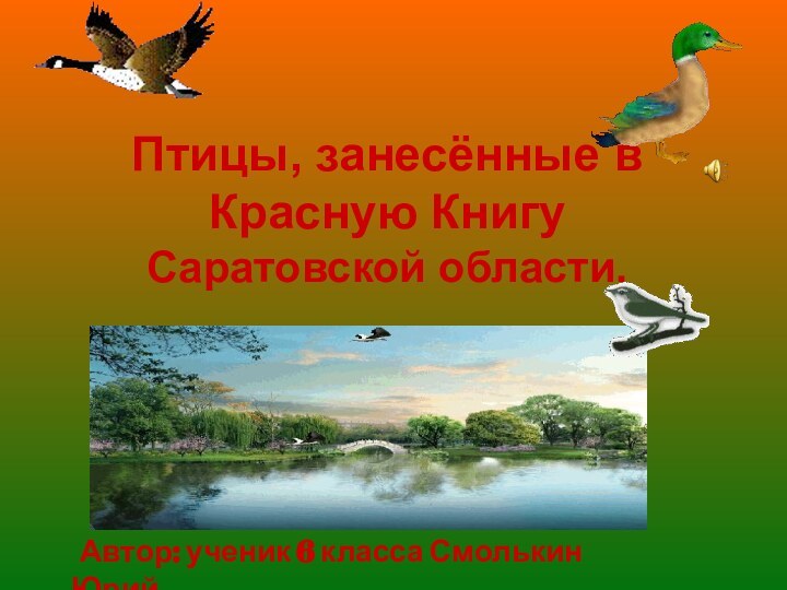 Птицы, занесённые в Красную Книгу Саратовской области. Автор: ученик 6 класса Смолькин Юрий