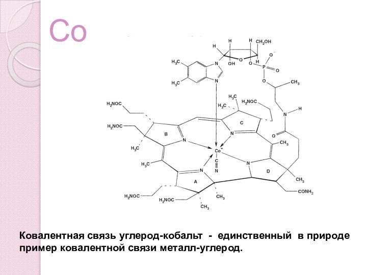 Ковалентная связь углерод-кобальт - единственный в природе пример ковалентной связи металл-углерод. Co