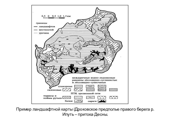 Пример ландшафтной карты (Дроковское предполье правого берега р. Ипуть – притока Десны.